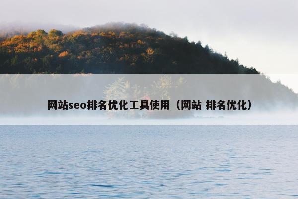 网站seo排名优化工具使用（网站 排名优化）-第1张图片-冷动云
