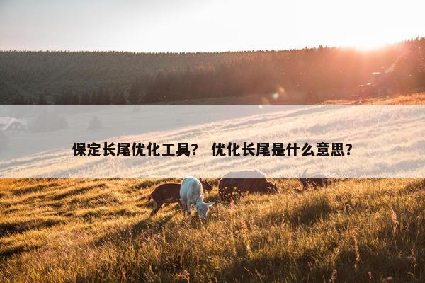保定长尾优化工具？ 优化长尾是什么意思？-第1张图片-冷动云