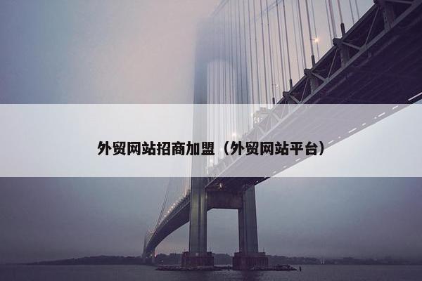 外贸网站招商加盟（外贸网站平台）-第1张图片-冷动云