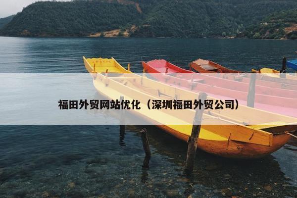 福田外贸网站优化（深圳福田外贸公司）-第1张图片-冷动云