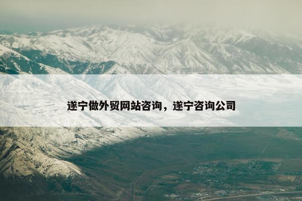 遂宁做外贸网站咨询，遂宁咨询公司-第1张图片-冷动云