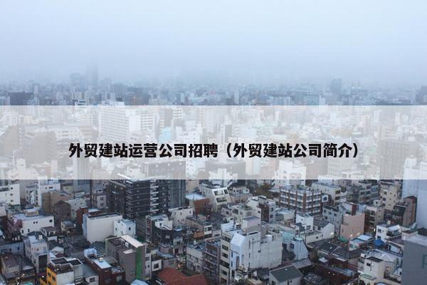 外贸建站运营公司招聘（外贸建站公司简介）-第1张图片-冷动云