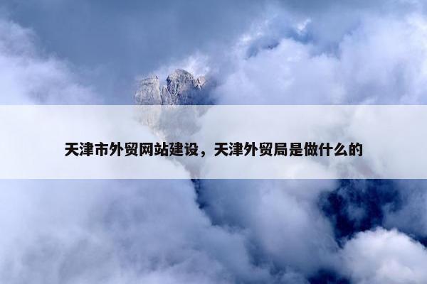 天津市外贸网站建设，天津外贸局是做什么的-第1张图片-冷动云