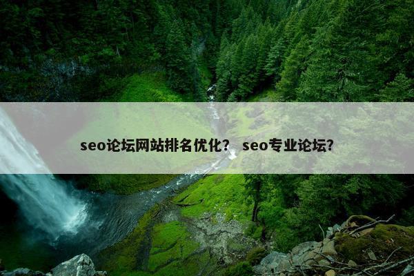 seo论坛网站排名优化？ seo专业论坛？-第1张图片-冷动云
