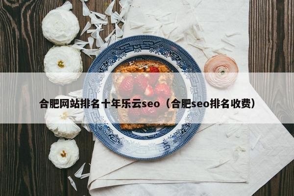 合肥网站排名十年乐云seo（合肥seo排名收费）-第1张图片-冷动云