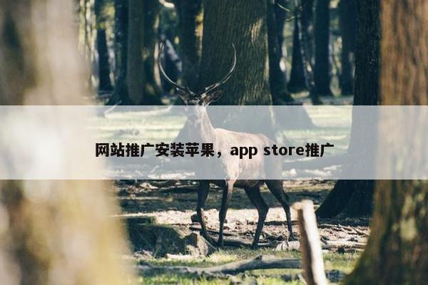网站推广安装苹果，app store推广-第1张图片-冷动云