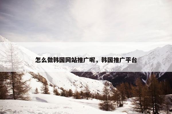 怎么做韩国网站推广呢，韩国推广平台-第1张图片-冷动云