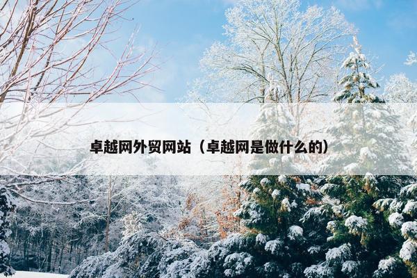 卓越网外贸网站（卓越网是做什么的）-第1张图片-冷动云
