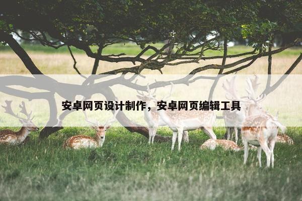 安卓网页设计制作，安卓网页编辑工具-第1张图片-冷动云