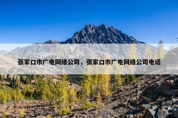 张家口市广电网络公司，张家口市广电网络公司电话-第1张图片-冷动云
