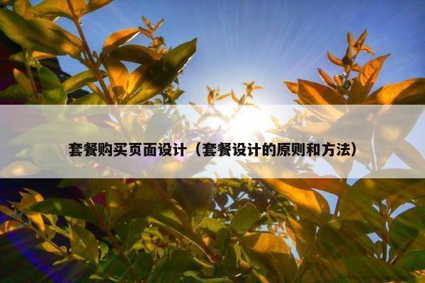套餐购买页面设计（套餐设计的原则和方法）-第1张图片-冷动云