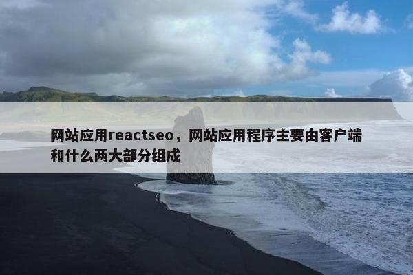 网站应用reactseo，网站应用程序主要由客户端和什么两大部分组成-第1张图片-冷动云
