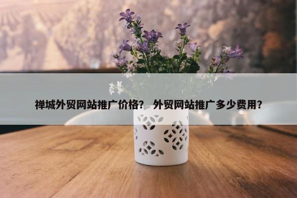 禅城外贸网站推广价格？ 外贸网站推广多少费用？-第1张图片-冷动云