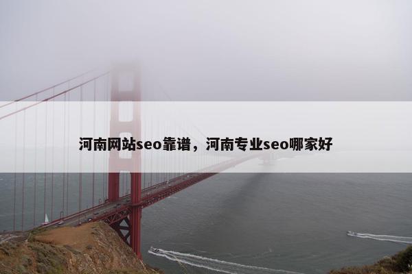 河南网站seo靠谱，河南专业seo哪家好-第1张图片-冷动云