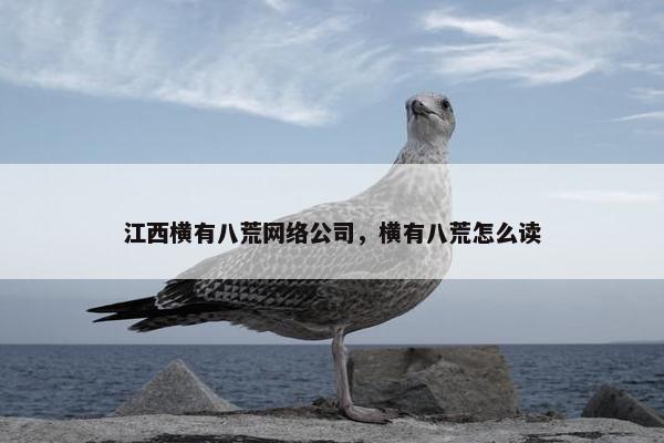 江西横有八荒网络公司，横有八荒怎么读-第1张图片-冷动云
