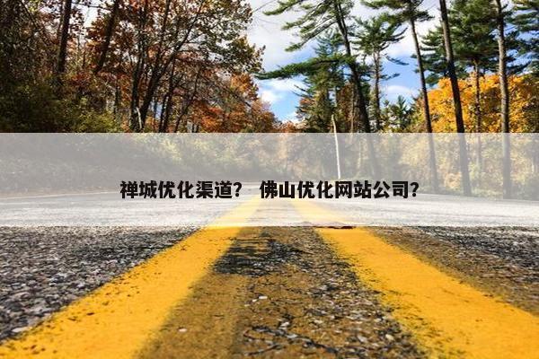 禅城优化渠道？ 佛山优化网站公司？-第1张图片-冷动云