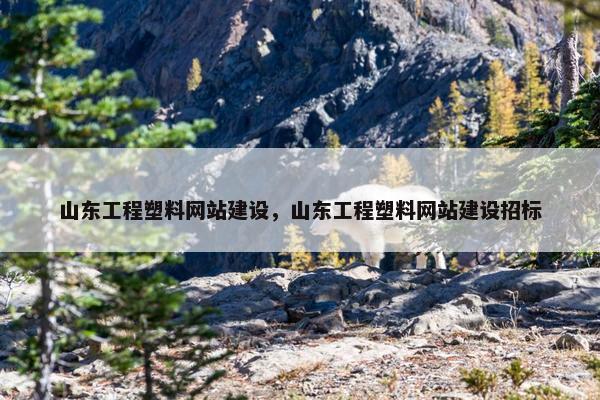 山东工程塑料网站建设，山东工程塑料网站建设招标-第1张图片-冷动云
