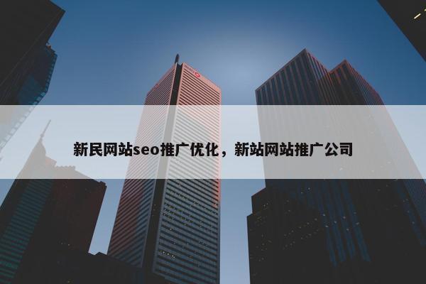 新民网站seo推广优化，新站网站推广公司-第1张图片-冷动云