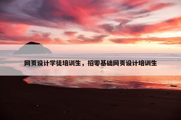 网页设计学徒培训生，招零基础网页设计培训生-第1张图片-冷动云