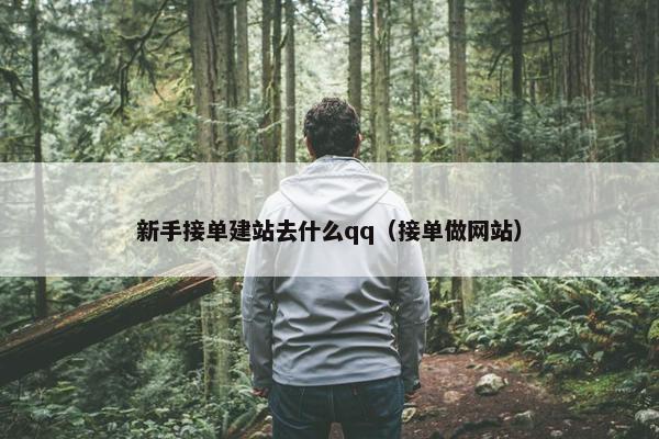 新手接单建站去什么qq（接单做网站）-第1张图片-冷动云