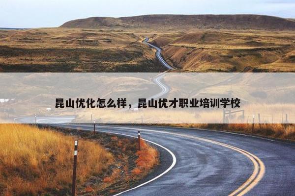 昆山优化怎么样，昆山优才职业培训学校-第1张图片-冷动云