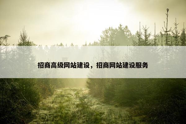 招商高级网站建设，招商网站建设服务-第1张图片-冷动云
