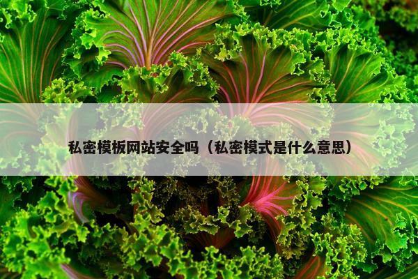 私密模板网站安全吗（私密模式是什么意思）-第1张图片-冷动云