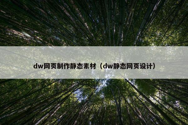 dw网页制作静态素材（dw静态网页设计）-第1张图片-冷动云