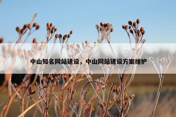 中山知名网站建设，中山网站建设方案维护-第1张图片-冷动云