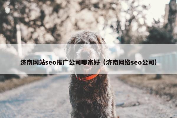 济南网站seo推广公司哪家好（济南网络seo公司）-第1张图片-冷动云