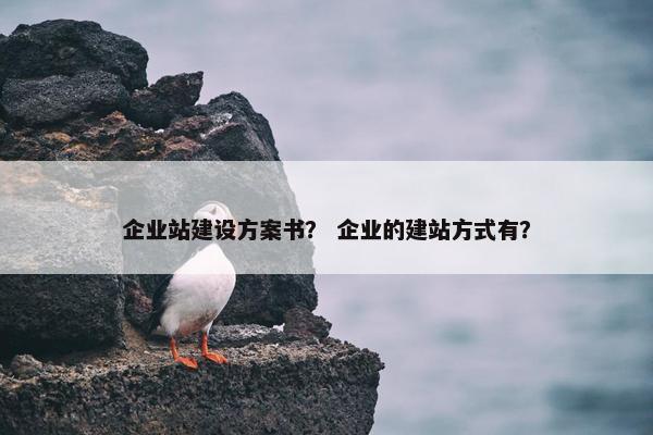 企业站建设方案书？ 企业的建站方式有？-第1张图片-冷动云
