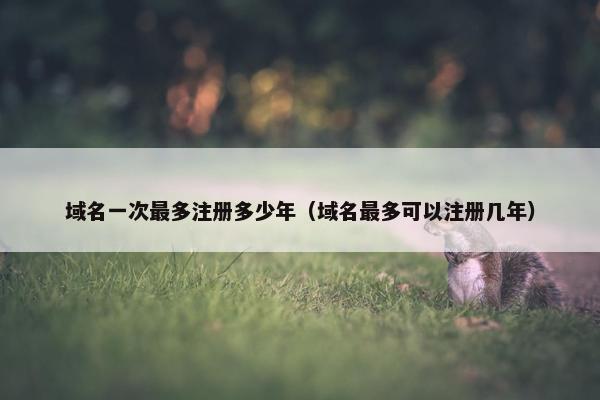 域名一次最多注册多少年（域名最多可以注册几年）-第1张图片-冷动云