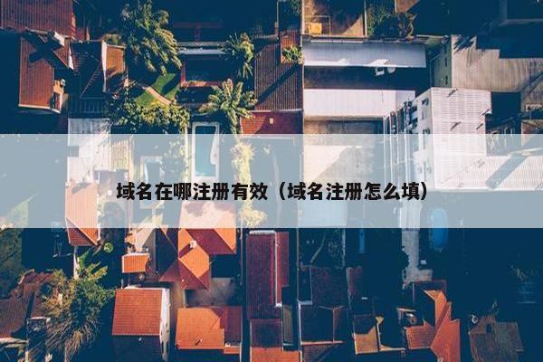 域名在哪注册有效（域名注册怎么填）-第1张图片-冷动云