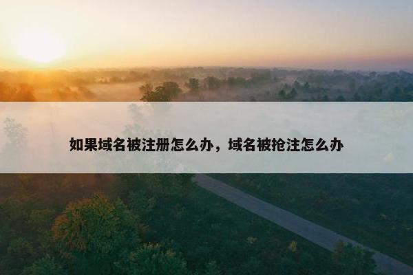 如果域名被注册怎么办，域名被抢注怎么办-第1张图片-冷动云