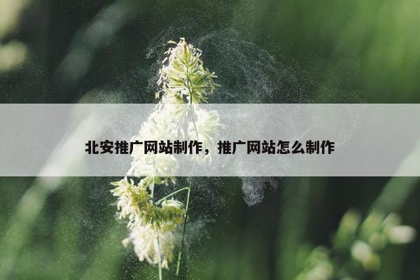 北安推广网站制作，推广网站怎么制作-第1张图片-冷动云