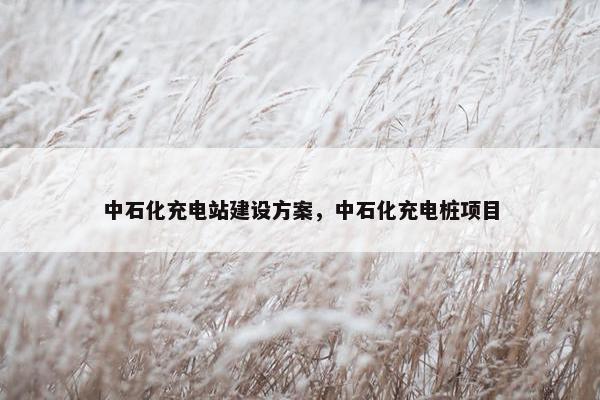中石化充电站建设方案，中石化充电桩项目-第1张图片-冷动云