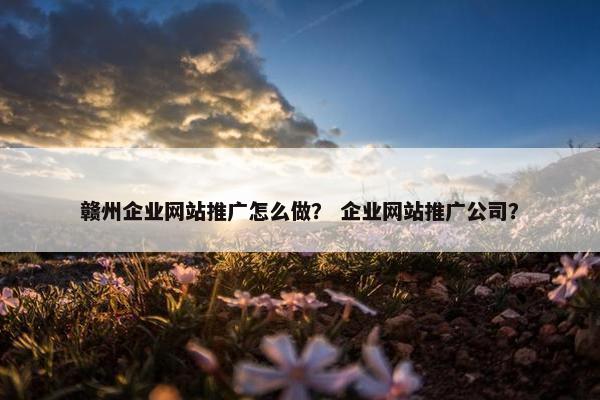 赣州企业网站推广怎么做？ 企业网站推广公司？-第1张图片-冷动云