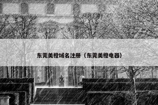 东莞美橙域名注册（东莞美橙电器）-第1张图片-冷动云