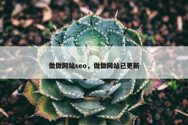 做做网站seo，做做网站已更新-第1张图片-冷动云