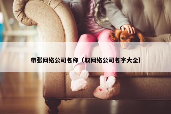 带张网络公司名称（取网络公司名字大全）-第1张图片-冷动云