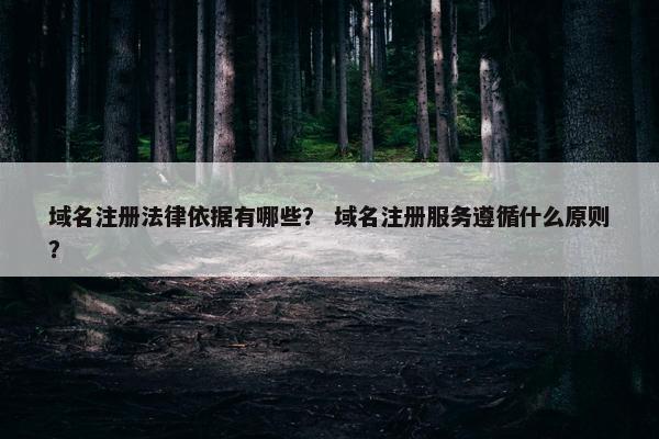 域名注册法律依据有哪些？ 域名注册服务遵循什么原则？-第1张图片-冷动云