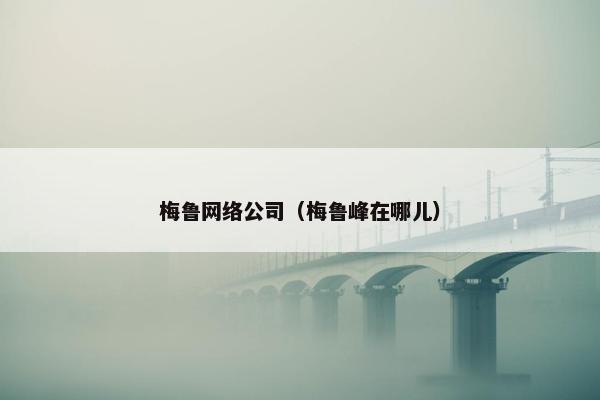 梅鲁网络公司（梅鲁峰在哪儿）-第1张图片-冷动云