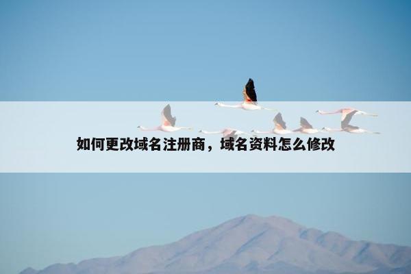 如何更改域名注册商，域名资料怎么修改-第1张图片-冷动云