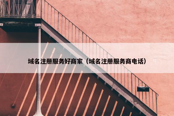 域名注册服务好商家（域名注册服务商电话）-第1张图片-冷动云