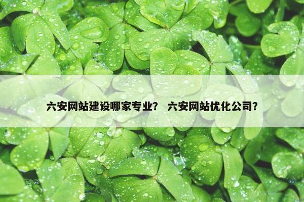 六安网站建设哪家专业？ 六安网站优化公司？-第1张图片-冷动云