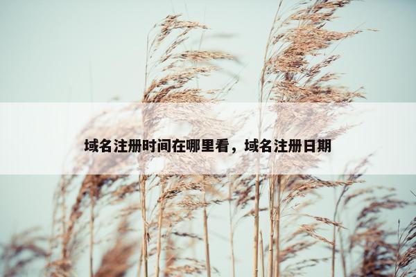 域名注册时间在哪里看，域名注册日期-第1张图片-冷动云