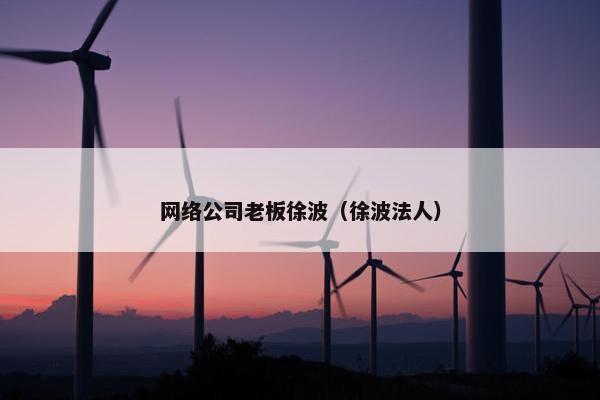 网络公司老板徐波（徐波法人）-第1张图片-冷动云