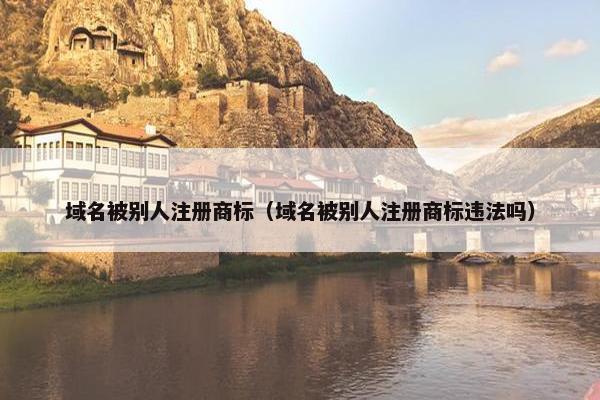 域名被别人注册商标（域名被别人注册商标违法吗）-第1张图片-冷动云