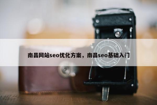 南昌网站seo优化方案，南昌seo基础入门-第1张图片-冷动云