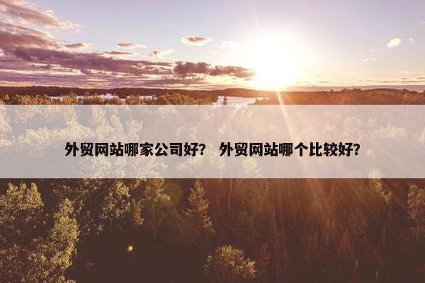 外贸网站哪家公司好？ 外贸网站哪个比较好？-第1张图片-冷动云